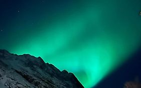 Senja Living